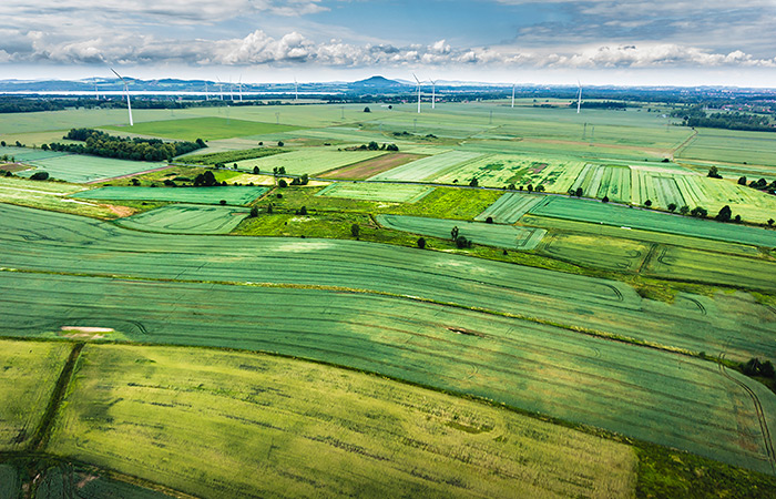 Land Banking
